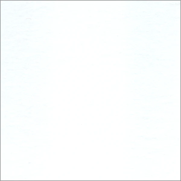 20 YD Bolt-White Cotton Flannel Fabric