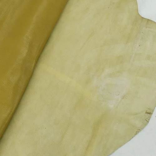 Antique Golden Beige Glossy Textured Leather Hide - Image 2