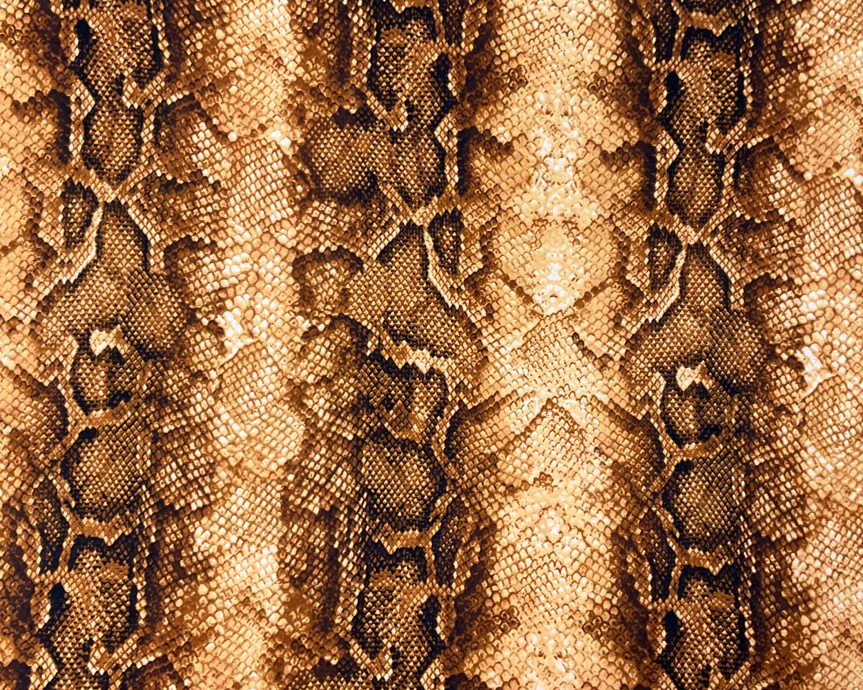Brown-Multi Poly Spandex Stretch Reptile Print DB Jersey Knit Fabric - Image 3