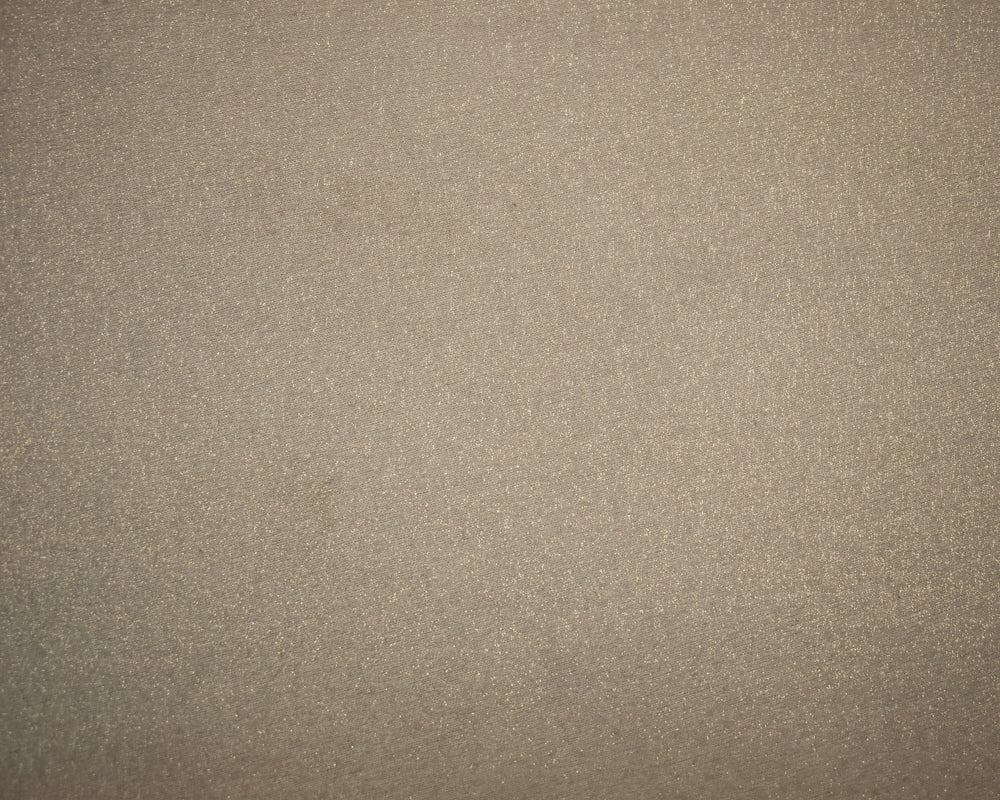 Gold-Gray Poly Solid Sparkle Organza Woven Fabric - Image 3