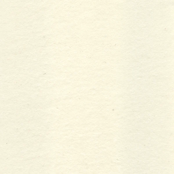 Ivory Cotton Flannel Fabric - Reorderable