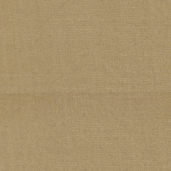 Light Brown Silk Rayon Velvet Fabric - Image 2