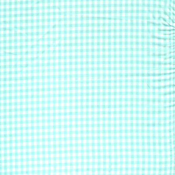 Mint 1/8 Inch Gingham Fabric - Reorderable
