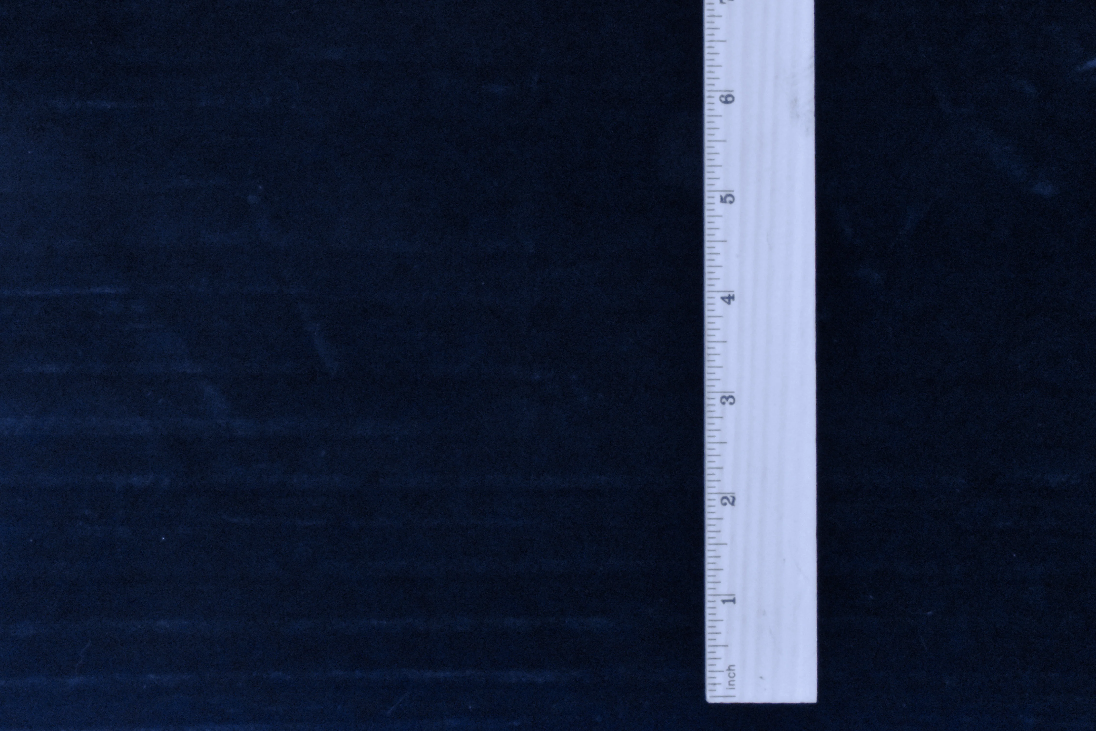 Navy Stripe Pleat-like Burnout Stretch Poly Spandex Velvet Knit Fabric - Image 4