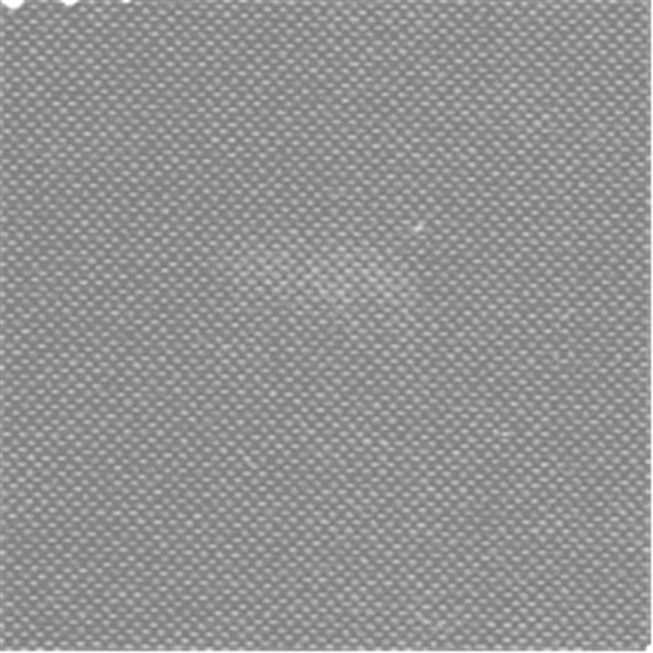 Silver Rhino Canvas Fabric - Reorderable